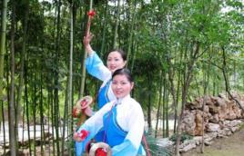 鎮安漁鼓 鎮安漁鼓