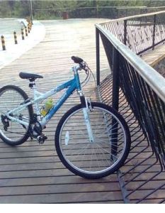 美利達維多利亞70 美利達維多利亞70