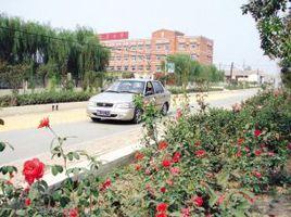 白古屯鄉 白古屯鄉