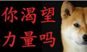 你渴望力量嗎 你渴望力量嗎