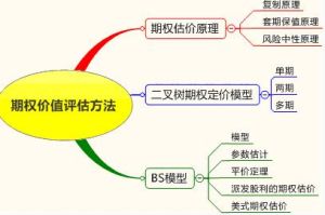 無成本期權 無成本期權