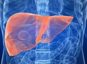 肝鬱化火 肝鬱化火