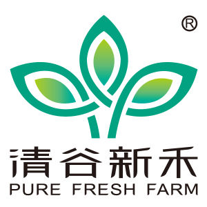 清谷新禾 清谷新禾