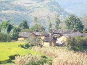 紫竹坡村 紫竹坡村