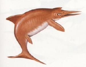 （圖）法布爾龍