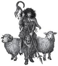 卡爾卡松牧羊人