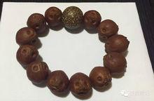 黃金鼠菩提把玩後