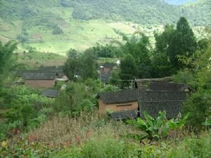 大龍唐村 大龍唐村