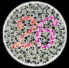 （圖）色覺檢查