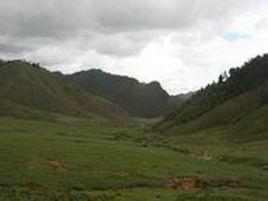 三叉河村 三叉河村