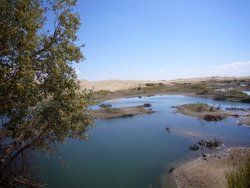 羅布人村寨 羅布人村寨