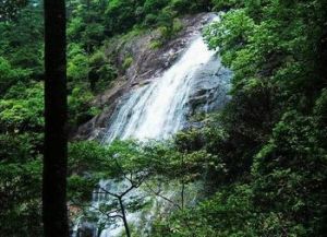 鳳陽山-百山祖國家級自然保護區 
