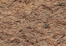 黃褐色土 黃褐色土