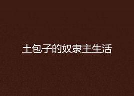土包子的奴隸主生活 土包子的奴隸主生活