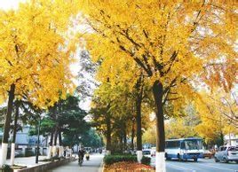 北京西路 北京西路