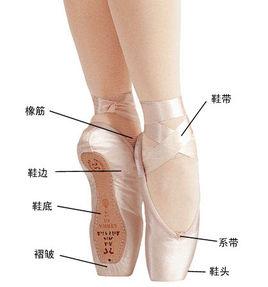 足尖鞋 足尖鞋