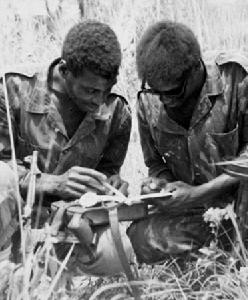 納米比亞獨立戰爭
