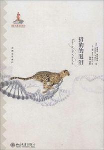 獵豹的眼淚 獵豹的眼淚