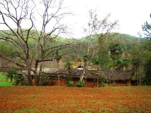 大稿門前自然村 大稿門前自然村