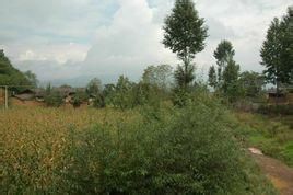 吉余前村 吉余前村