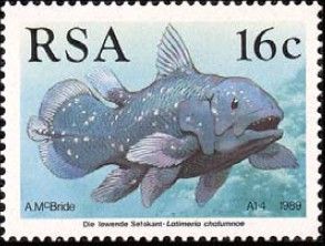 南非 郵票