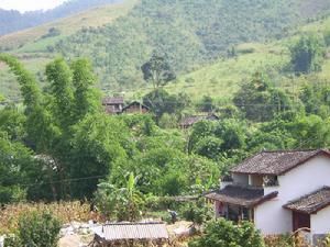 青河自然村 青河自然村