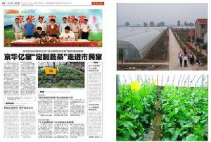 京華時報