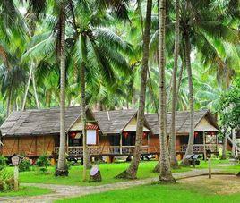 文昌椰林 文昌椰林