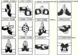 火影忍者忍術大全 火影忍者忍術大全