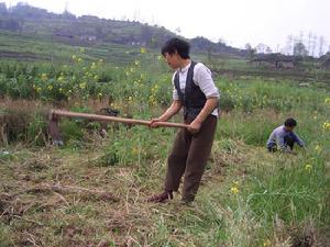 （圖）抗旱鍛鍊