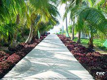 金銀島[中國西沙群島之一]