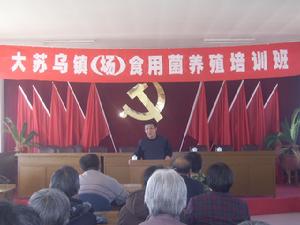 大烏蘇鎮 大烏蘇鎮