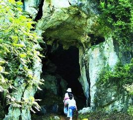 觀音洞遺址[衢江區上方鎮龍祥村]