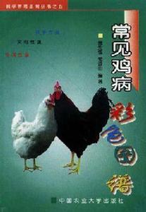常見雞病彩色圖譜 常見雞病彩色圖譜