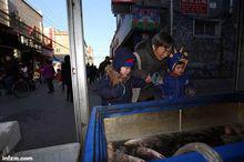 郭敏[失獨母親]