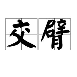 交臂 交臂