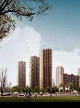 信達&middot;西山銀杏