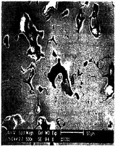 多孔金屬材料 多孔金屬材料