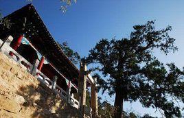 張果老山 張果老山