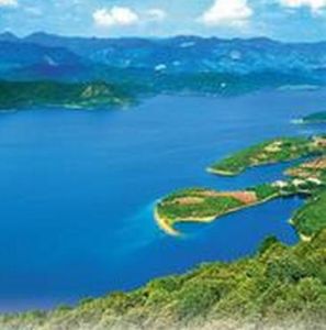 澄碧河水庫濕地 澄碧河水庫濕地