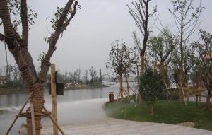 金倉湖公園 金倉湖公園