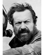 羅伯安利可 羅伯安利可