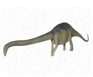 合川馬門溪龍 合川馬門溪龍