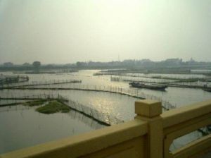 澱山湖旅遊風景區 澱山湖旅遊風景區