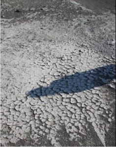 土地鹽鹼化 土地鹽鹼化