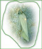 北京石花洞 北京石花洞