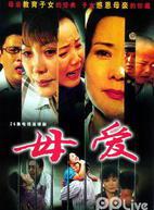 母愛十三宗 母愛十三宗