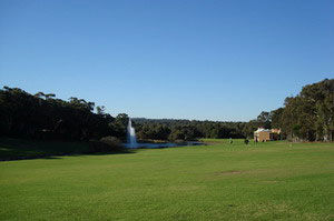 麥考里大學校園景色