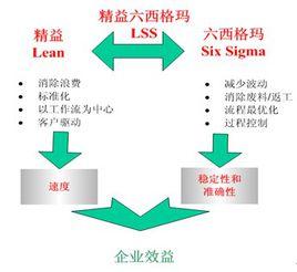 精益六西格瑪管理 精益六西格瑪管理