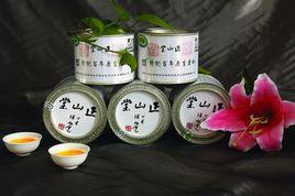 百年老樅 百年老樅